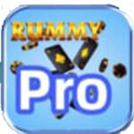 Rummy Pro